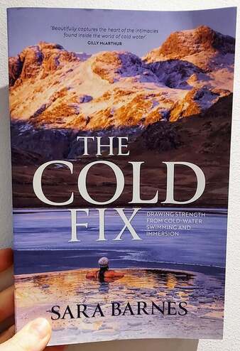 The Cold Fix by Sara Barnes